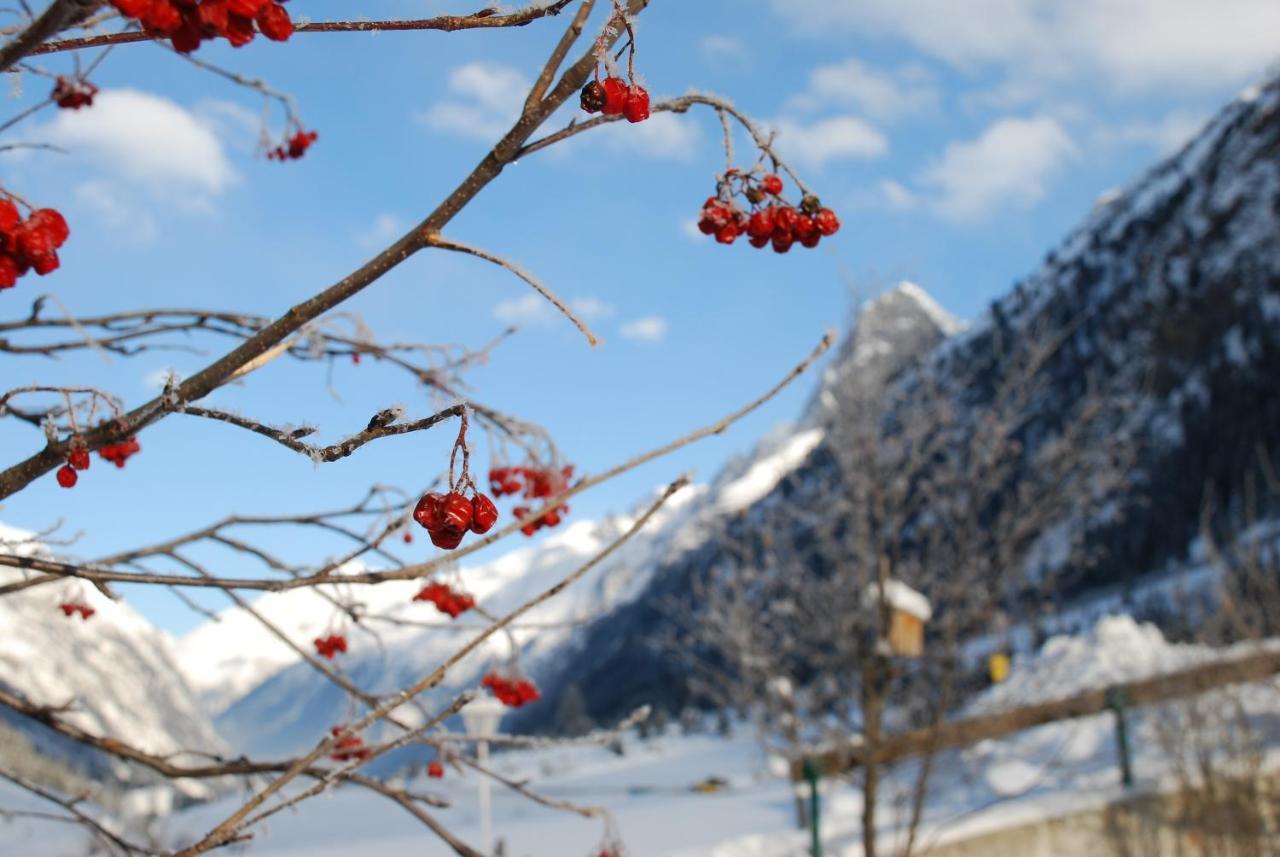 Pension Steinkogel Sankt Leonhard im Pitztal Exterior foto